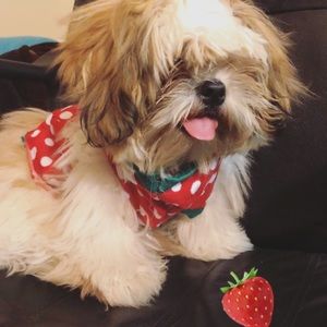 Meet your Posher, Lisa